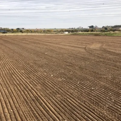 geprojectseed-2
